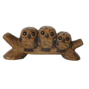 Owls