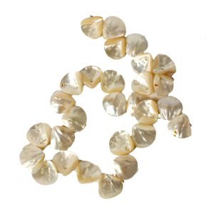 Shell Beads - String